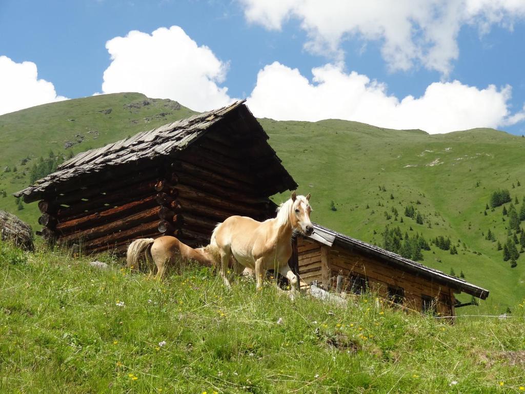 Gaestehaus Zwischenberger Obervellach Kültér fotó
